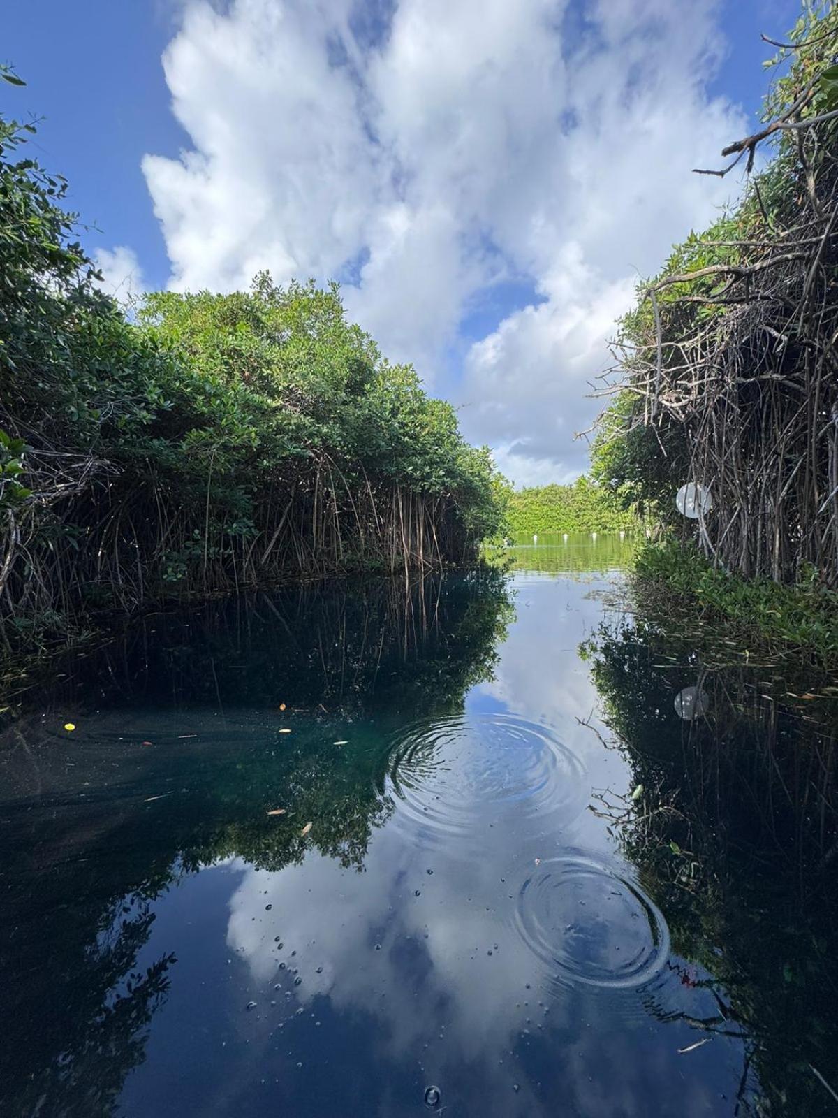 Cabanas Tulum - Aldea Mangle & Cenote מראה חיצוני תמונה