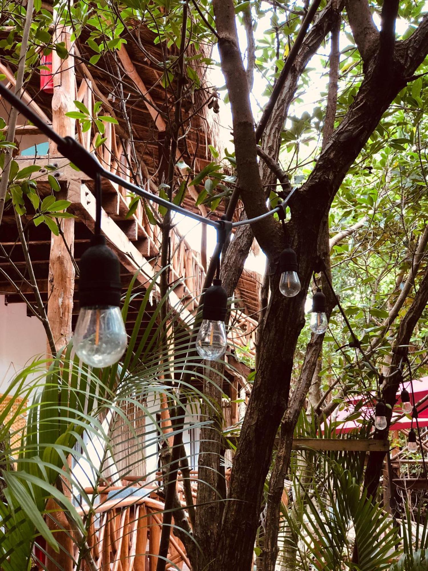 Cabanas Tulum - Aldea Mangle & Cenote מראה חיצוני תמונה