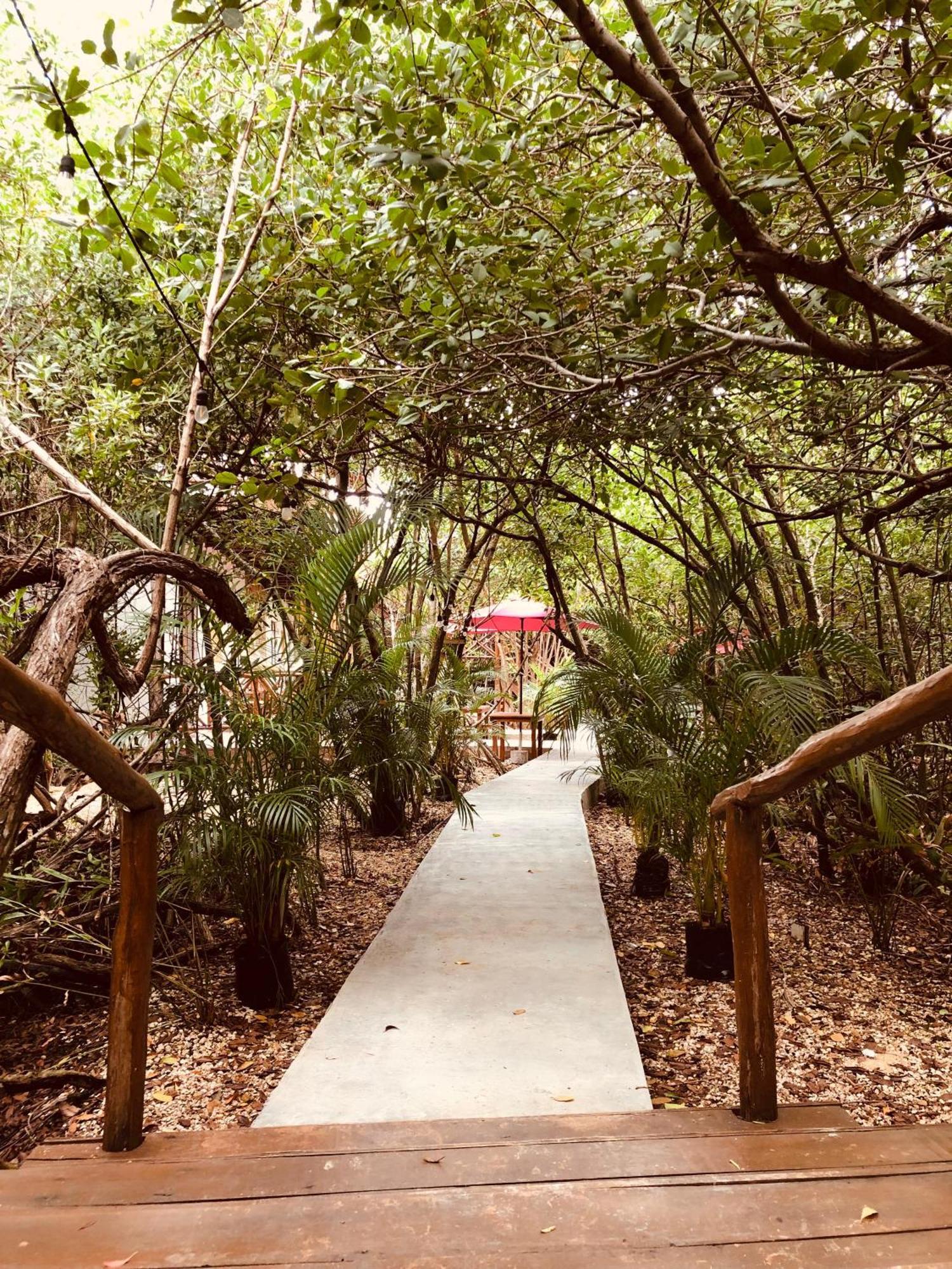 Cabanas Tulum - Aldea Mangle & Cenote מראה חיצוני תמונה