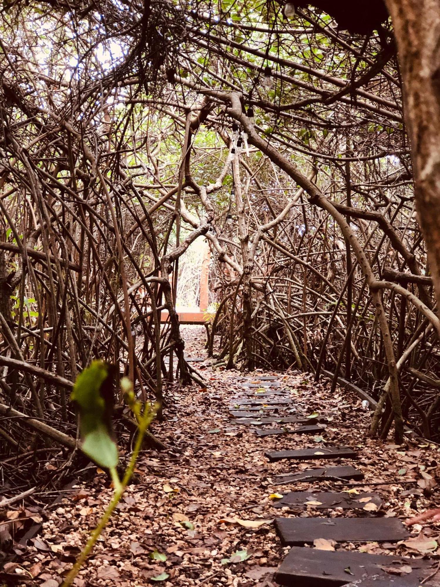 Cabanas Tulum - Aldea Mangle & Cenote מראה חיצוני תמונה