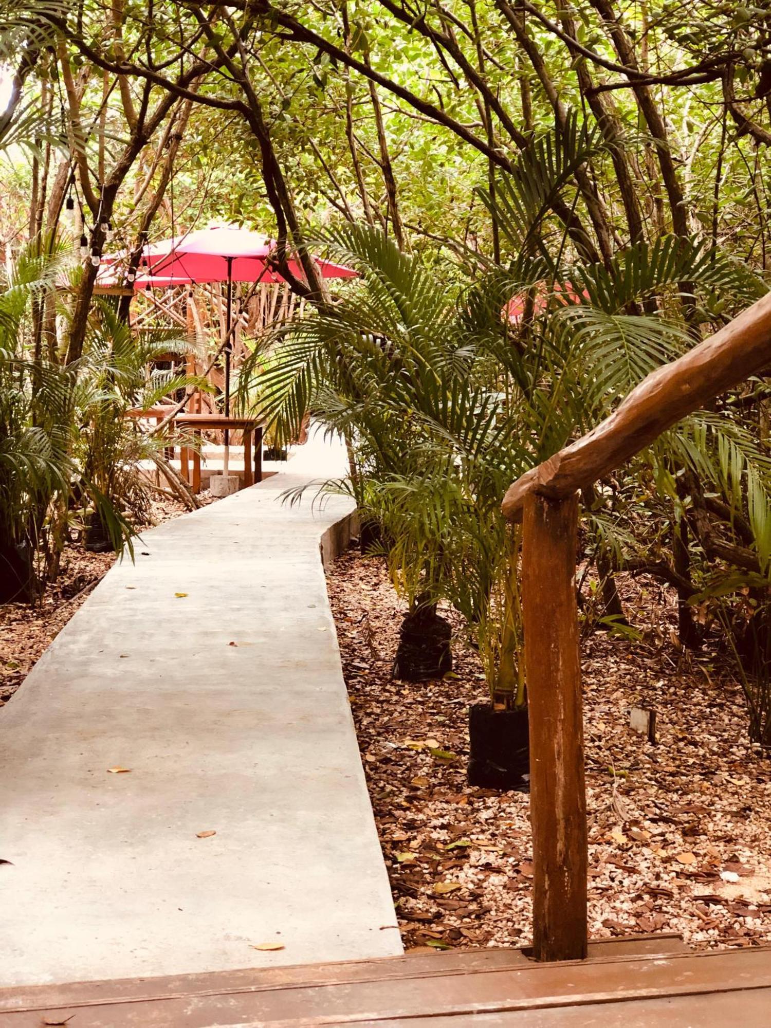 Cabanas Tulum - Aldea Mangle & Cenote מראה חיצוני תמונה