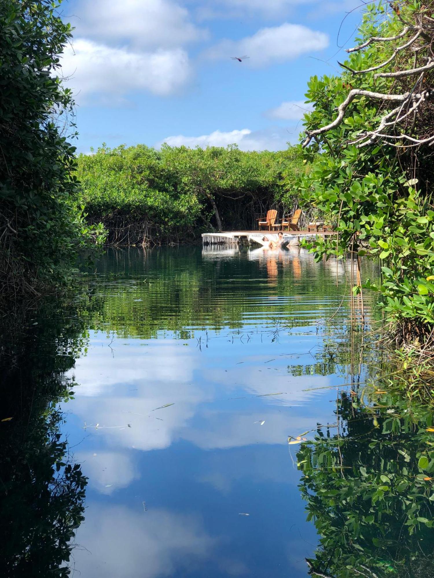Cabanas Tulum - Aldea Mangle & Cenote מראה חיצוני תמונה