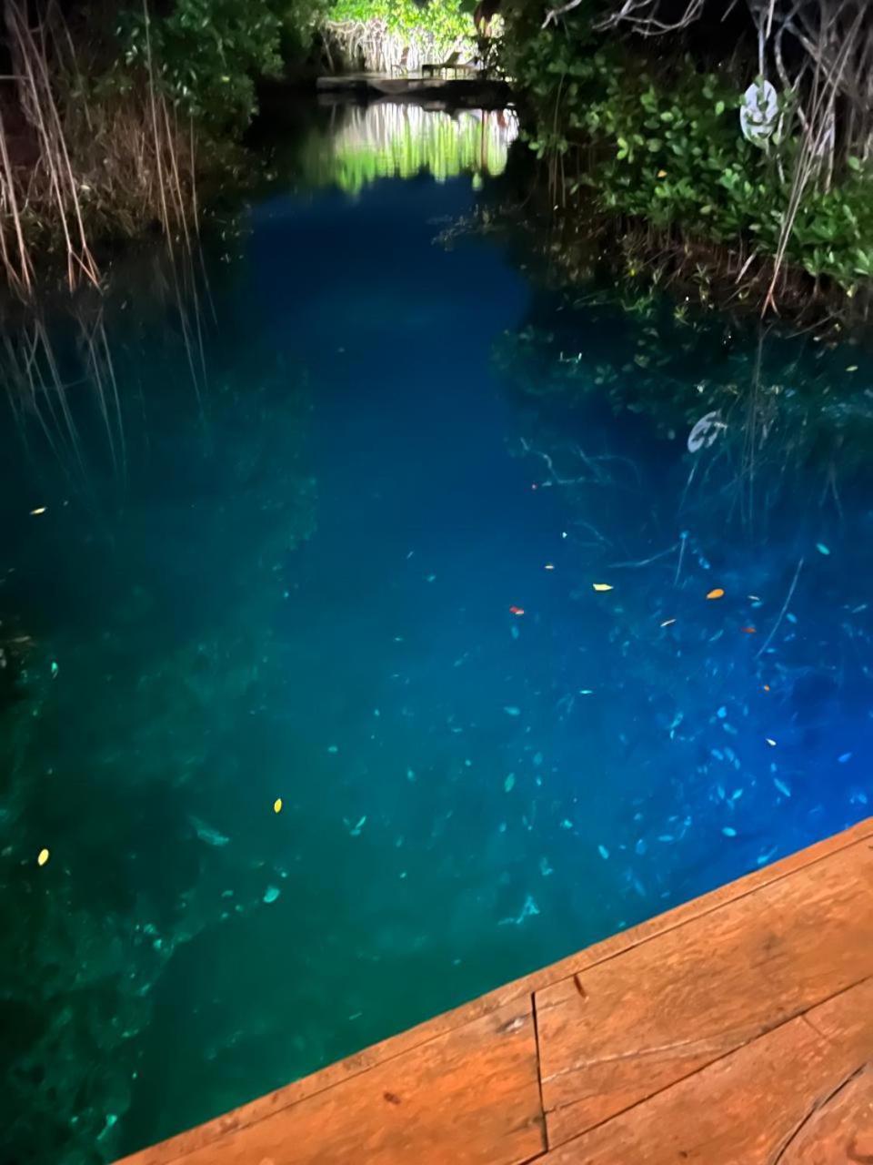 Cabanas Tulum - Aldea Mangle & Cenote מראה חיצוני תמונה