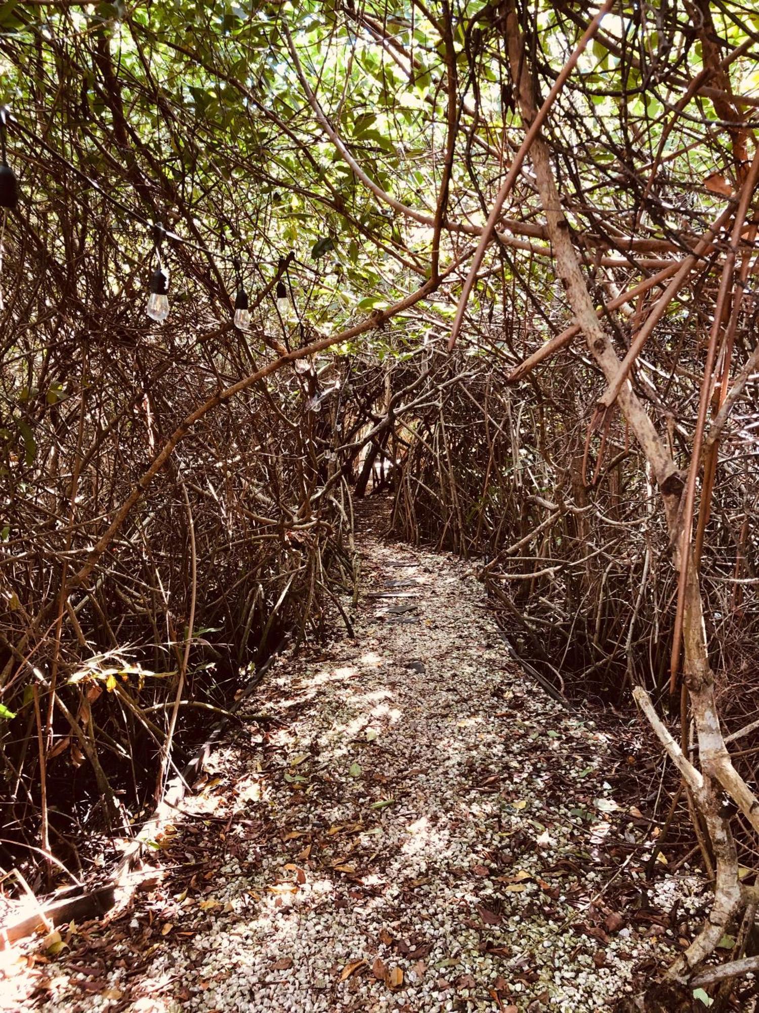 Cabanas Tulum - Aldea Mangle & Cenote מראה חיצוני תמונה