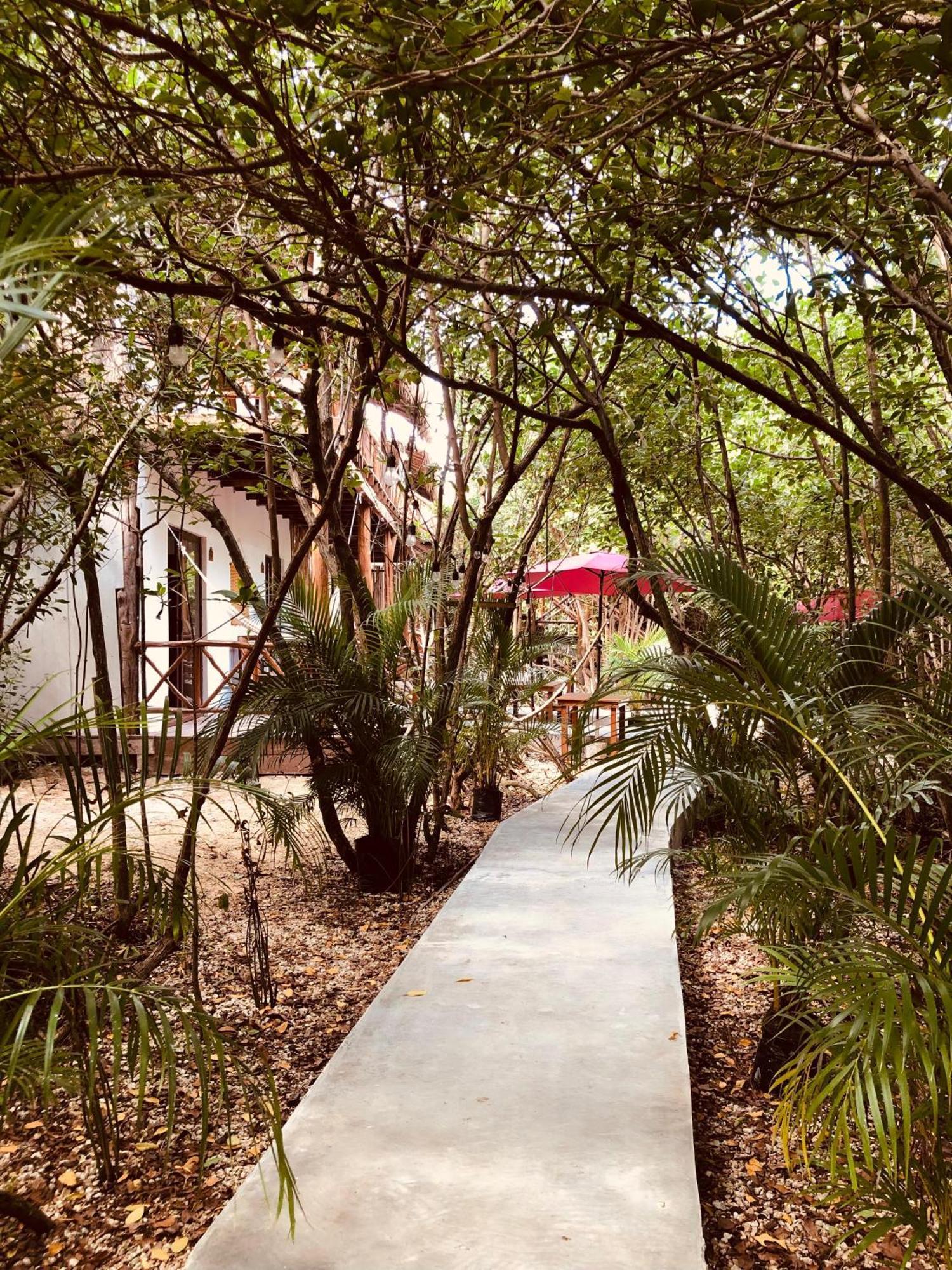 Cabanas Tulum - Aldea Mangle & Cenote מראה חיצוני תמונה