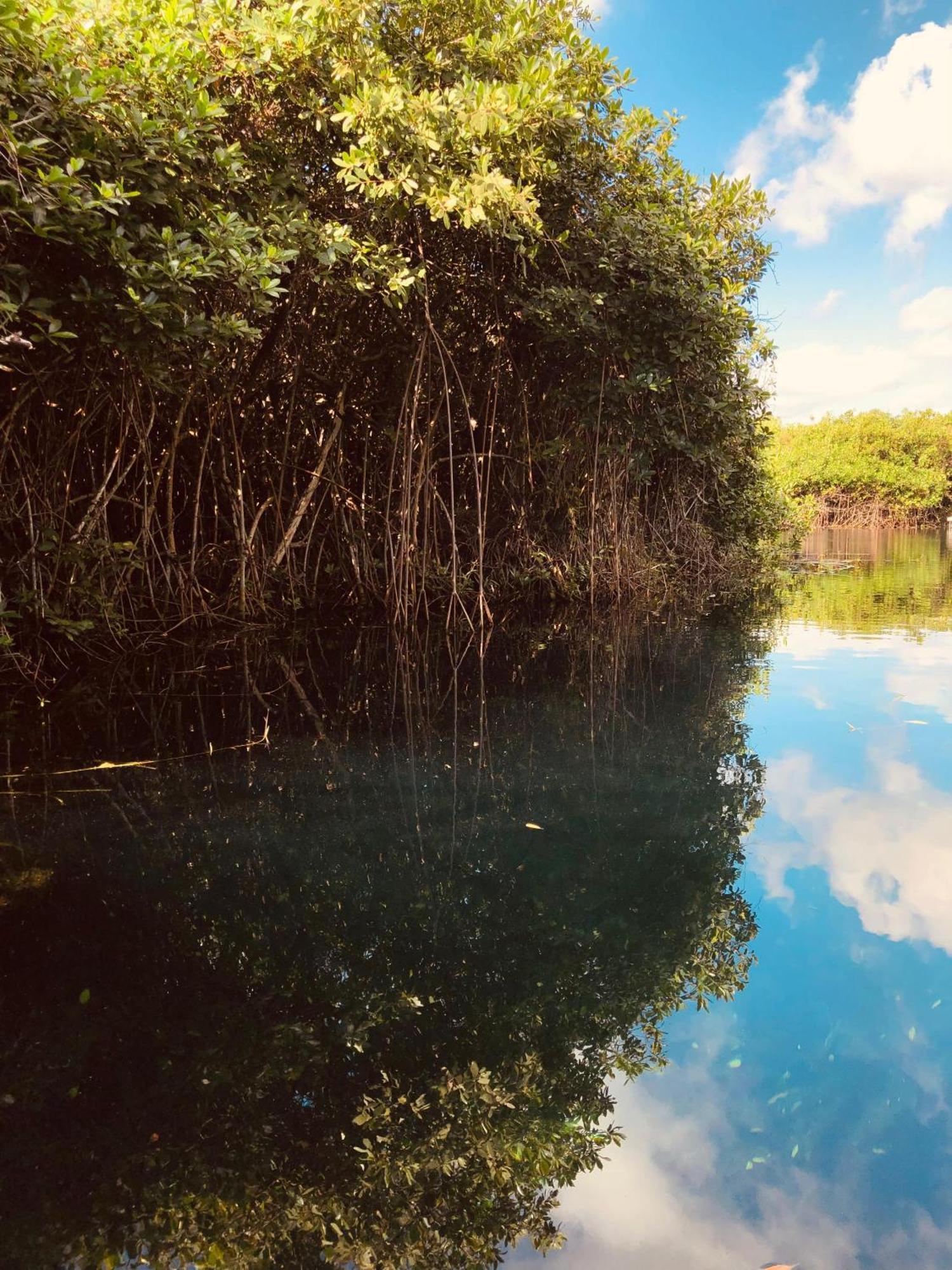 Cabanas Tulum - Aldea Mangle & Cenote מראה חיצוני תמונה