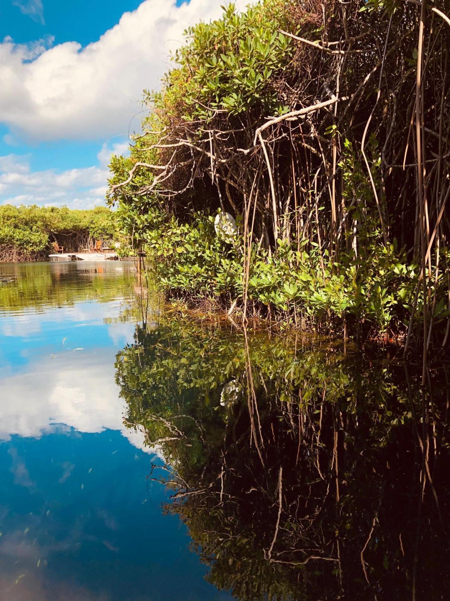Cabanas Tulum - Aldea Mangle & Cenote מראה חיצוני תמונה