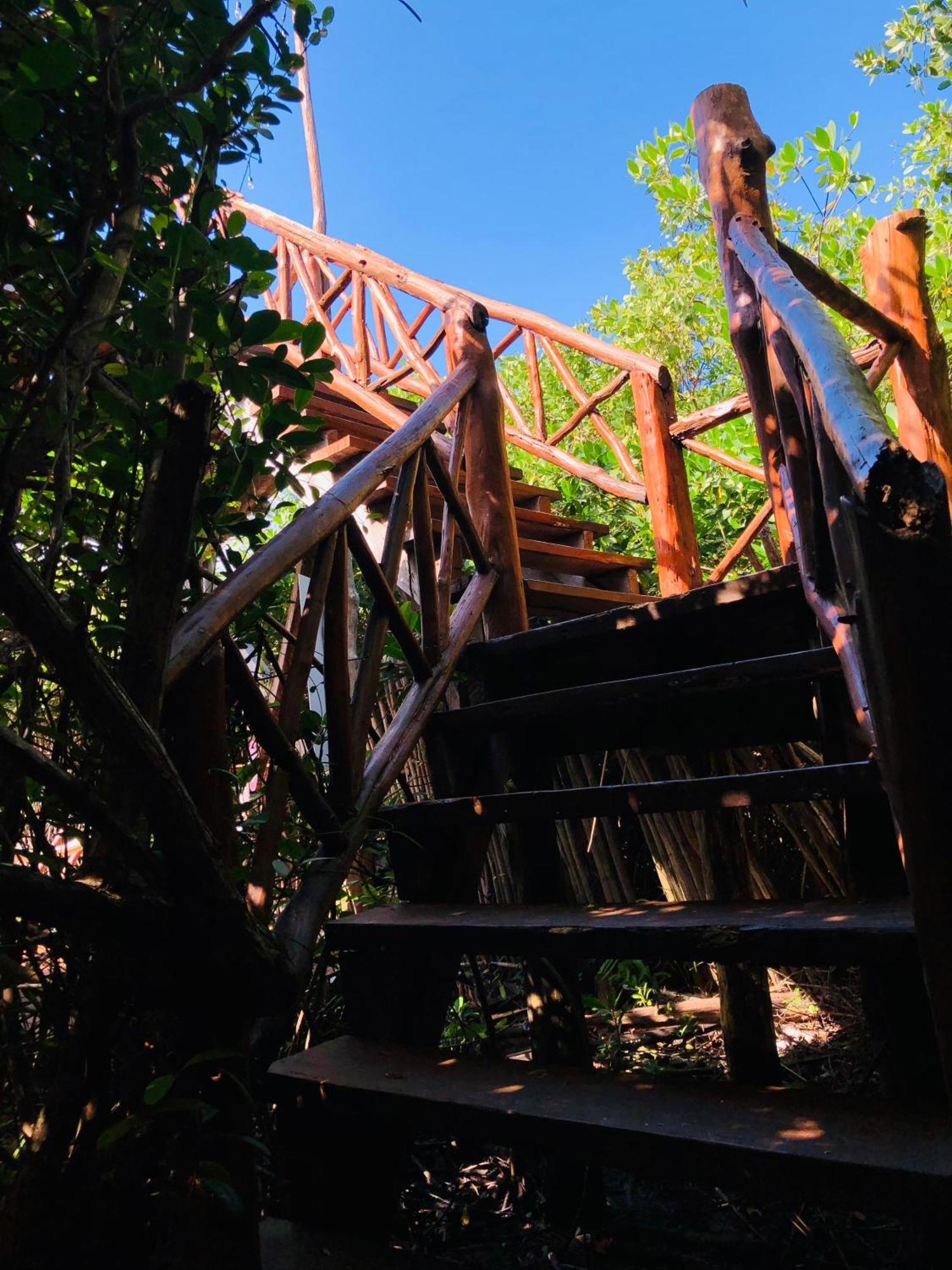 Cabanas Tulum - Aldea Mangle & Cenote מראה חיצוני תמונה
