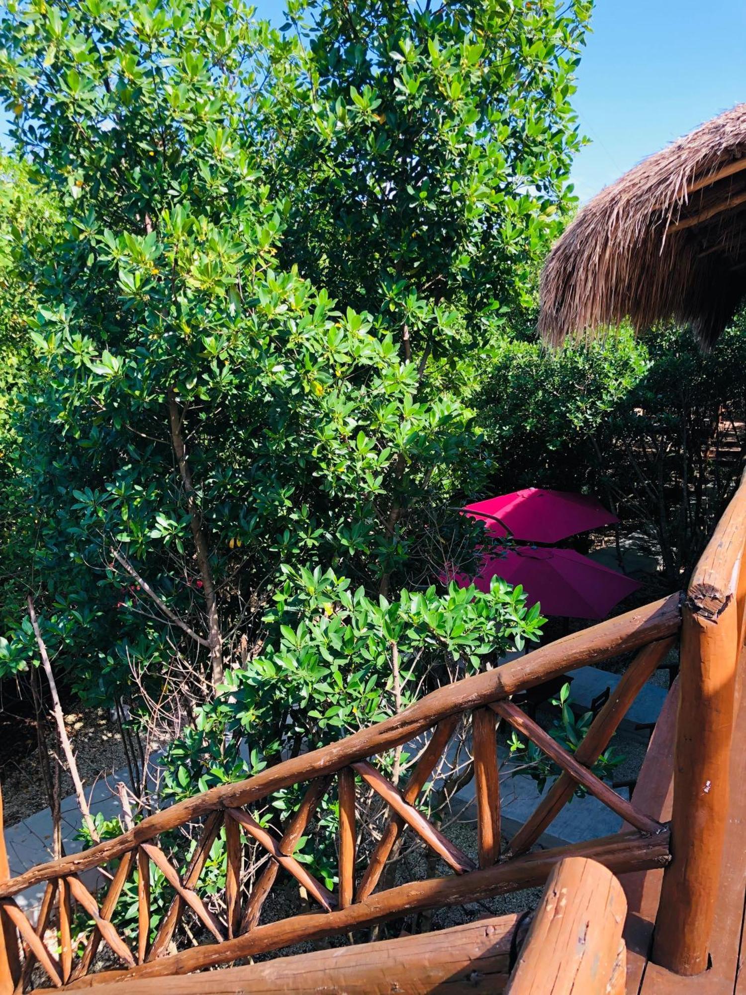 Cabanas Tulum - Aldea Mangle & Cenote מראה חיצוני תמונה