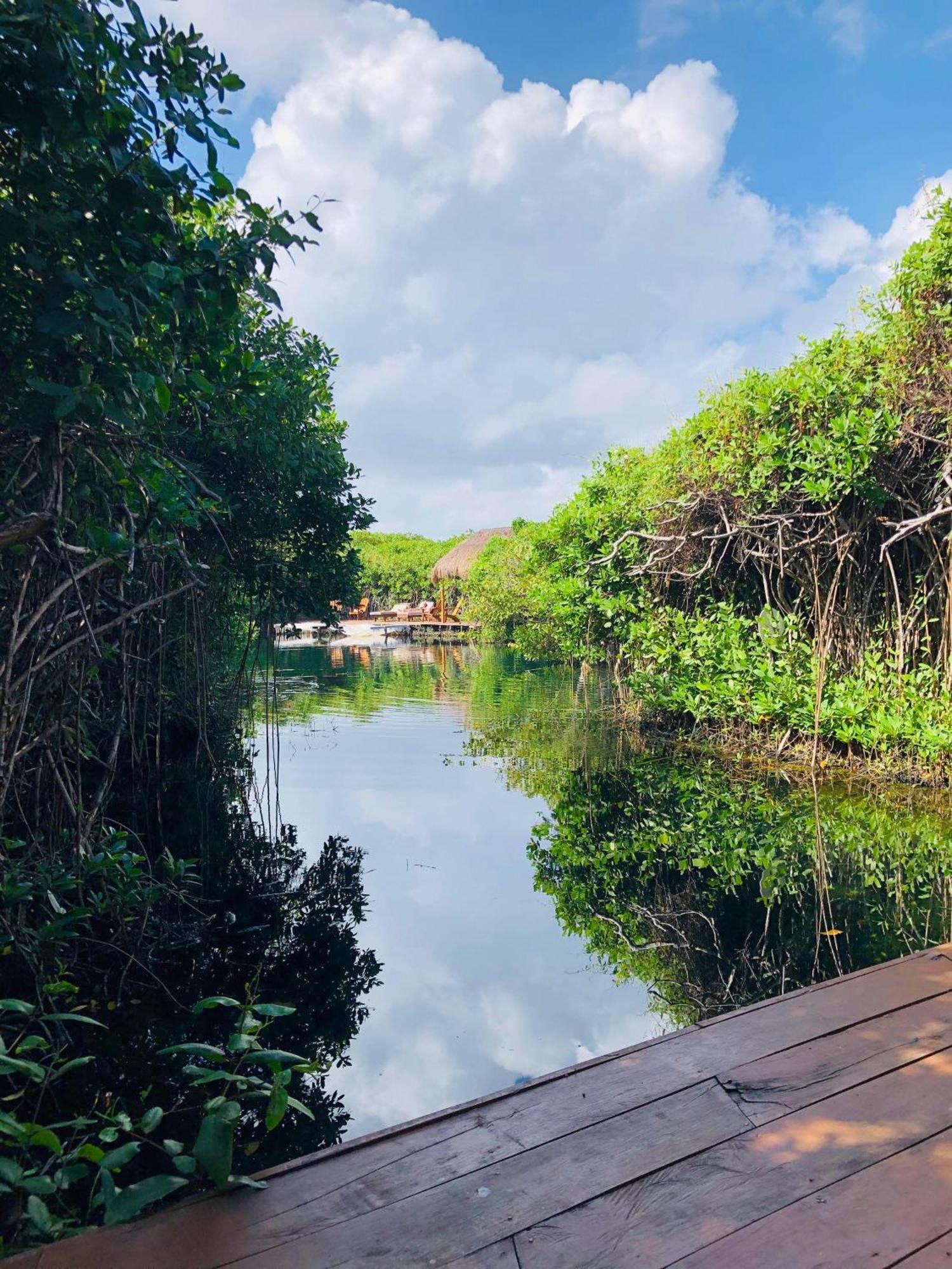Cabanas Tulum - Aldea Mangle & Cenote מראה חיצוני תמונה