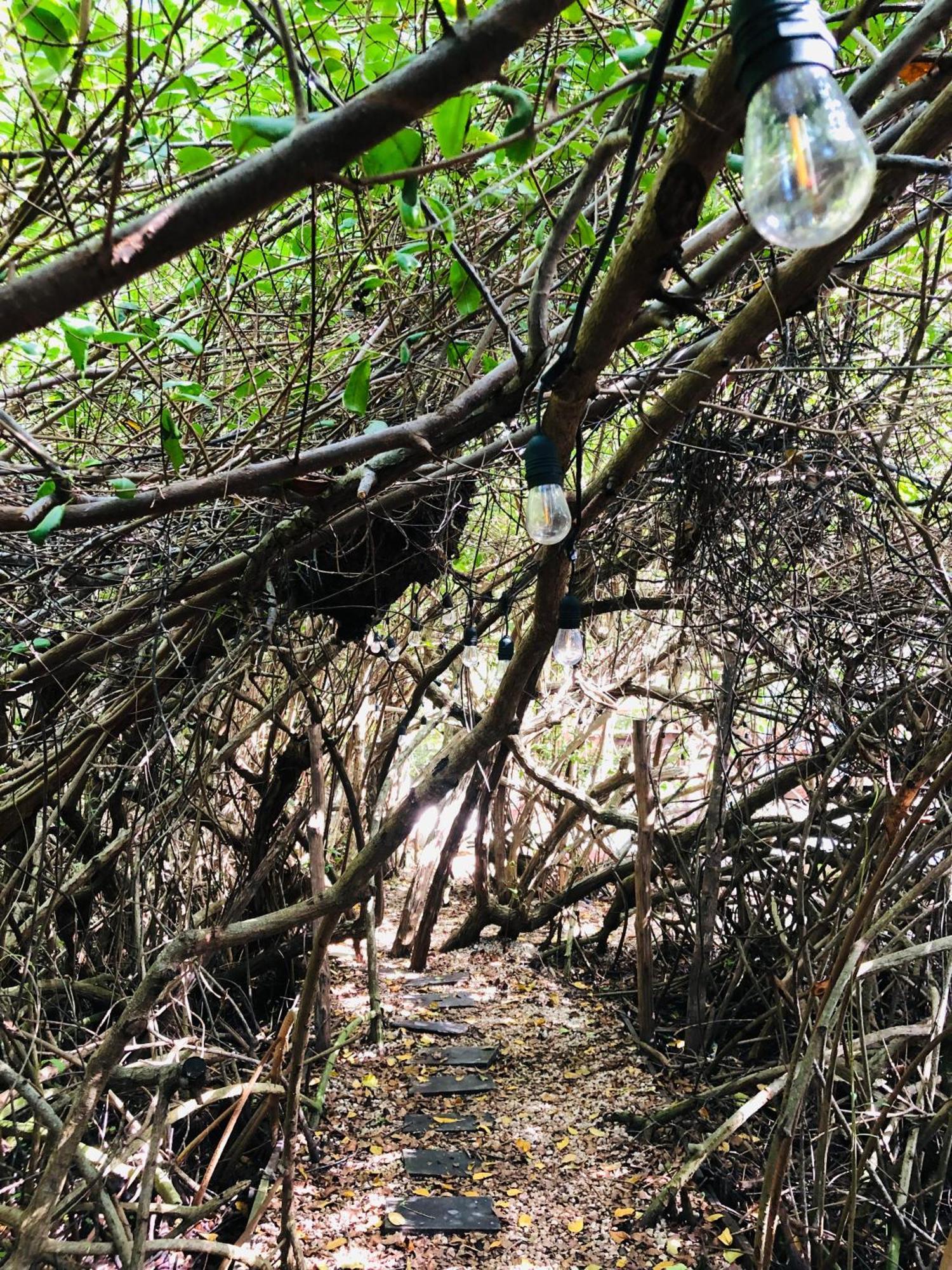 Cabanas Tulum - Aldea Mangle & Cenote מראה חיצוני תמונה